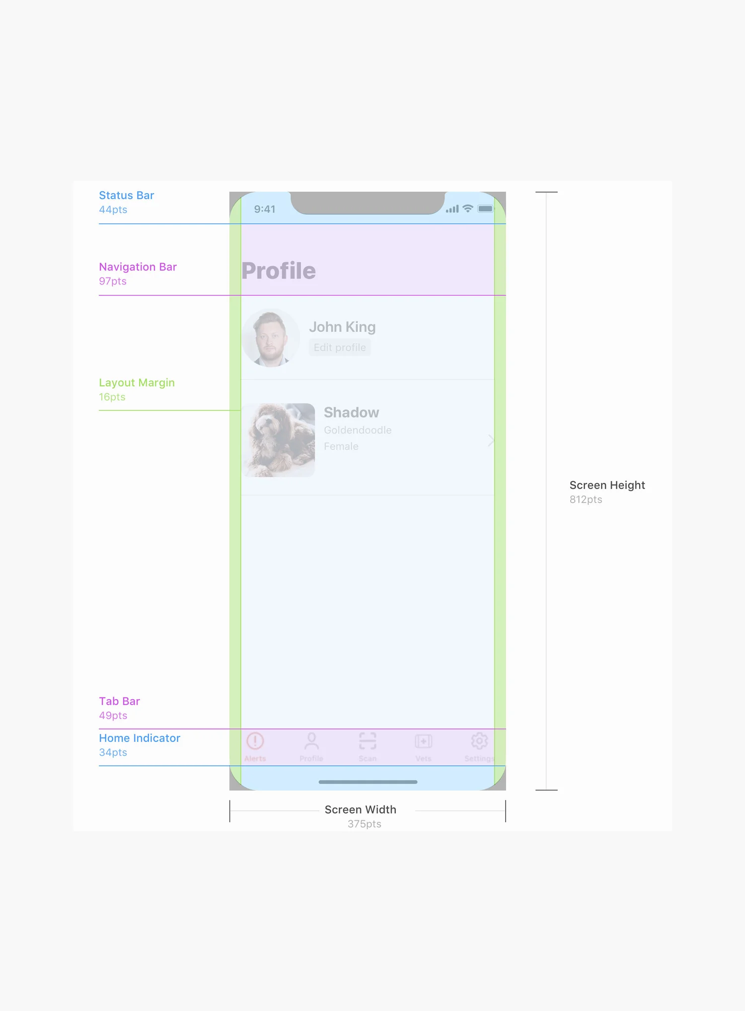 Snoutscan visual and interface guidelines